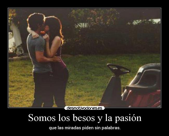 Somos los besos y la pasión - que las miradas piden sin palabras.