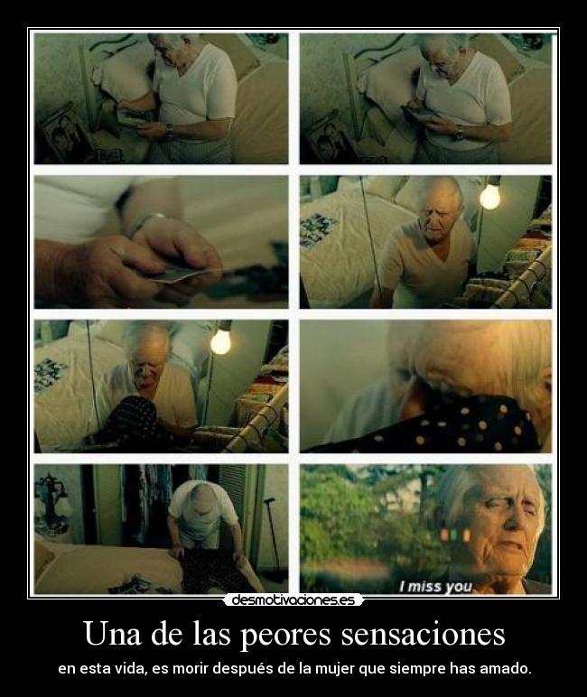 carteles francia inglaterra ucrania suecia benzema gerrard timoshchuk ibrahimovic desmotivaciones