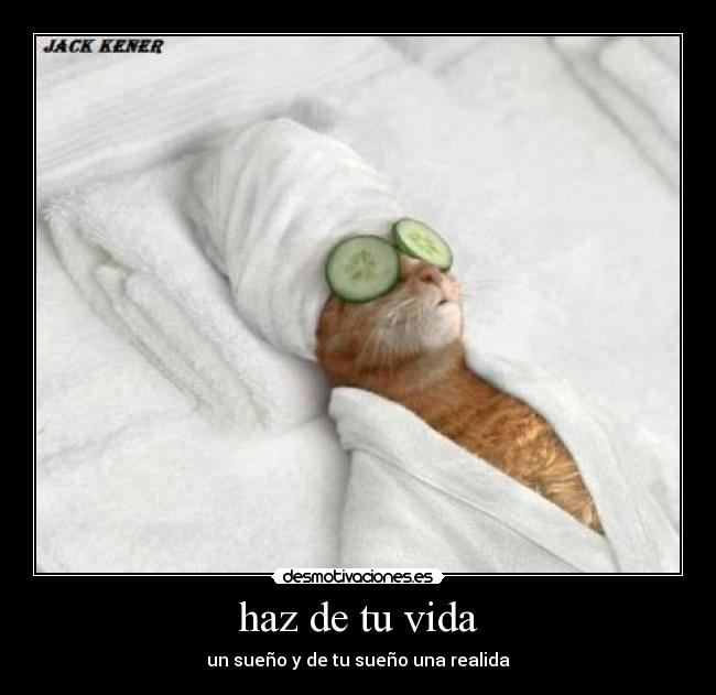 haz de tu vida - un sueño y de tu sueño una realida