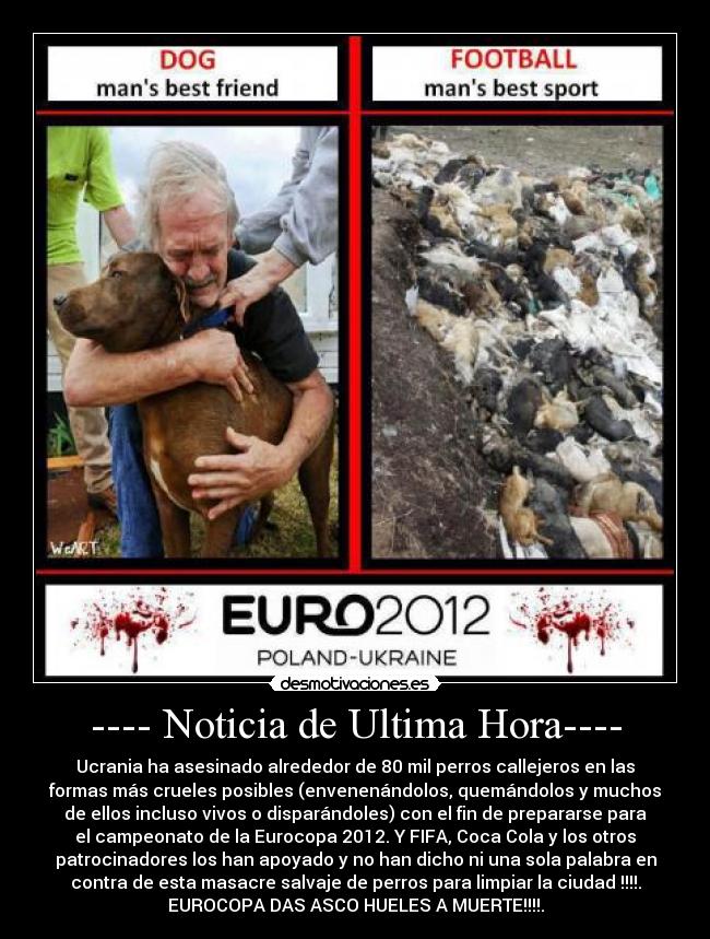 ---- Noticia de Ultima Hora---- - Ucrania ha asesinado alrededor de 80 mil perros callejeros en las
formas más crueles posibles (envenenándolos, quemándolos y muchos
de ellos incluso vivos o disparándoles) con el fin de prepararse para
el campeonato de la Eurocopa 2012. Y FIFA, Coca Cola y los otros
patrocinadores los han apoyado y no han dicho ni una sola palabra en
contra de esta masacre salvaje de perros para limpiar la ciudad !!!!.
EUROCOPA DAS ASCO HUELES A MUERTE!!!!.