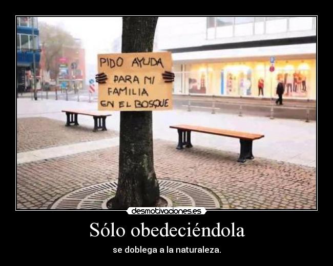Sólo obedeciéndola - se doblega a la naturaleza.