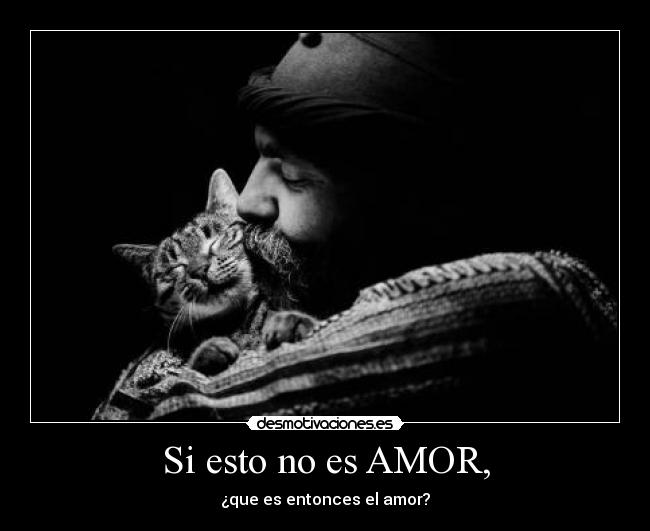 Si esto no es AMOR, - ¿que es entonces el amor?