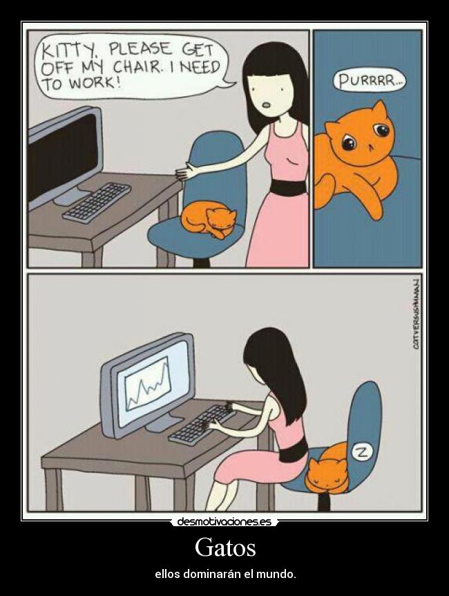 Gatos -