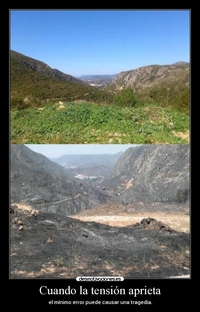 carteles elregresodelatortuganinja asi quedado pueblo despues del incendio desmotivaciones