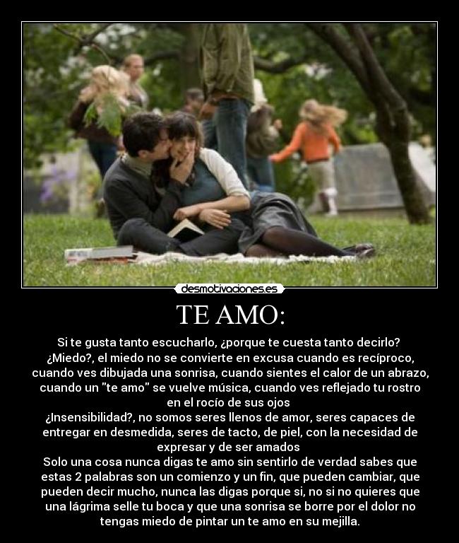 carteles anis99 desmotivaciones