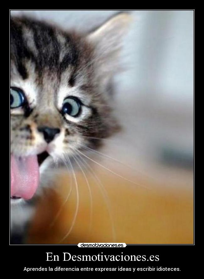En Desmotivaciones.es - Aprendes la diferencia entre expresar ideas y escribir idioteces.