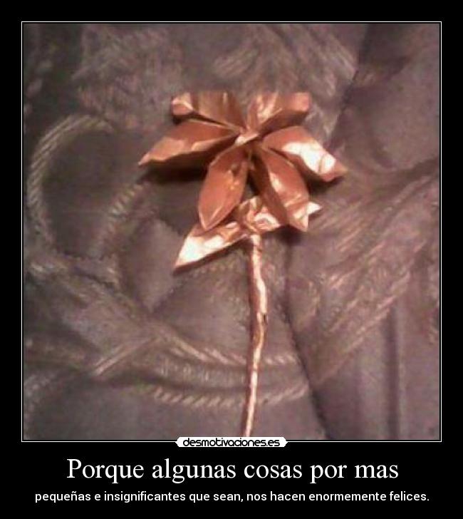 carteles porque algunas cosas por mas desmotivaciones