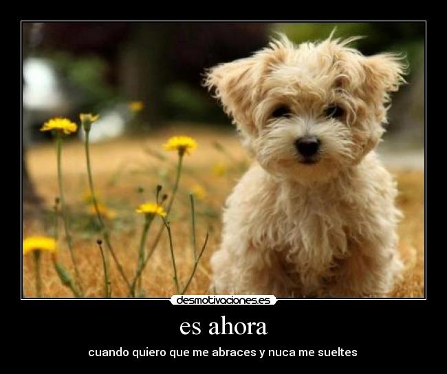 es ahora -