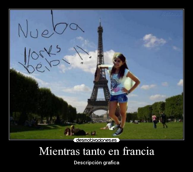 Mientras tanto en francia - Descripción grafica