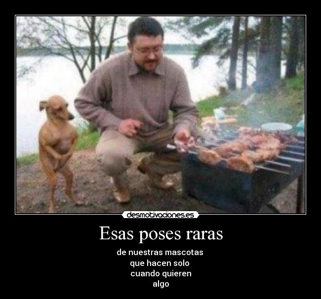 Esas poses raras -