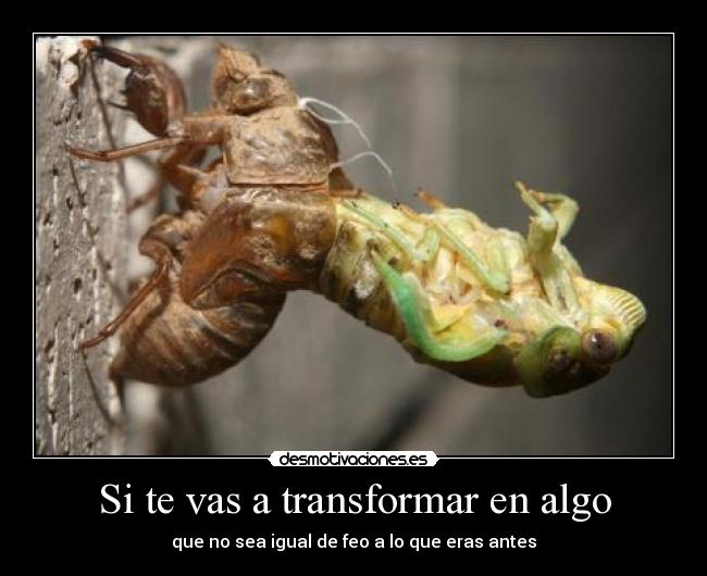 Si te vas a transformar en algo - que no sea igual de feo a lo que eras antes