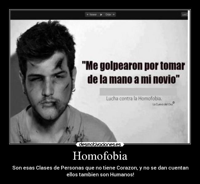 Homofobia - 