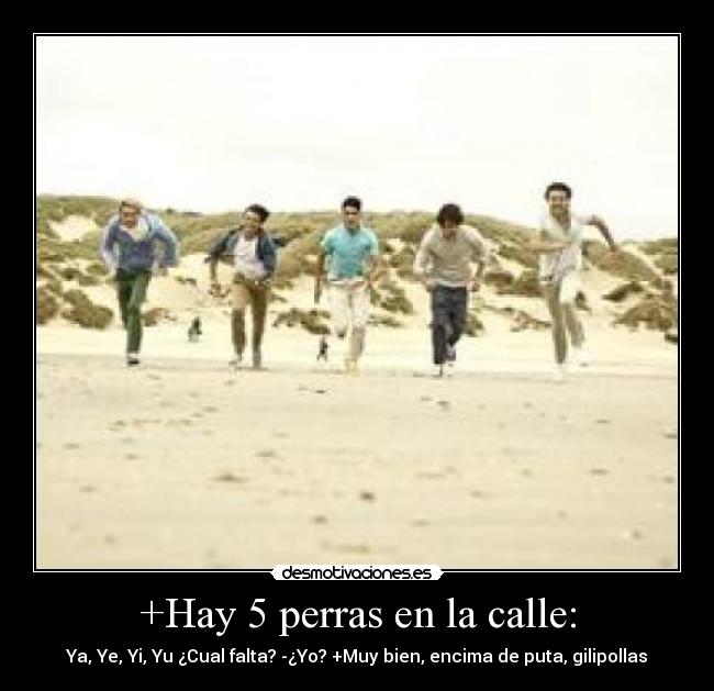 +Hay 5 perras en la calle: - Ya, Ye, Yi, Yu ¿Cual falta? -¿Yo? +Muy bien, encima de puta, gilipollas