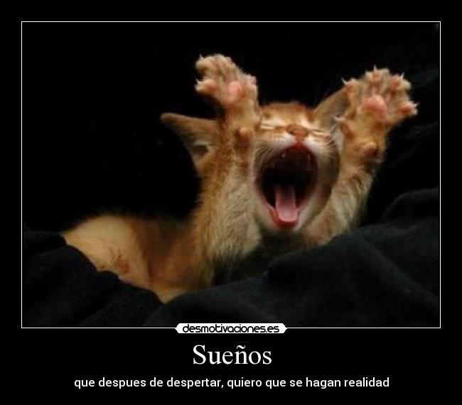 Sueños -