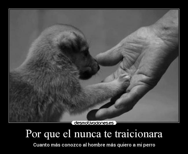 Por que el nunca te traicionara - Cuanto más conozco al hombre más quiero a mi perro