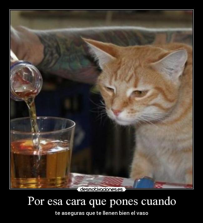 Por esa cara que pones cuando -