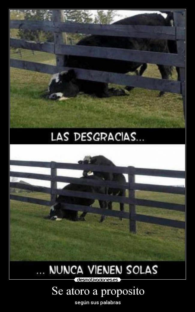 Se atoro a proposito -