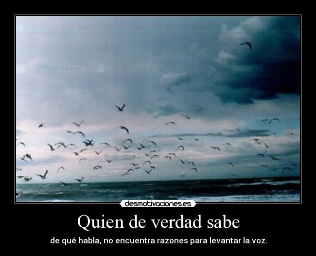 Quien de verdad sabe - 