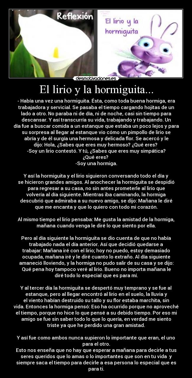 El lirio y la hormiguita... -
