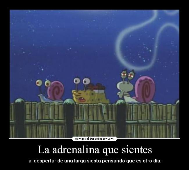 La adrenalina que sientes - al despertar de una larga siesta pensando que es otro día.