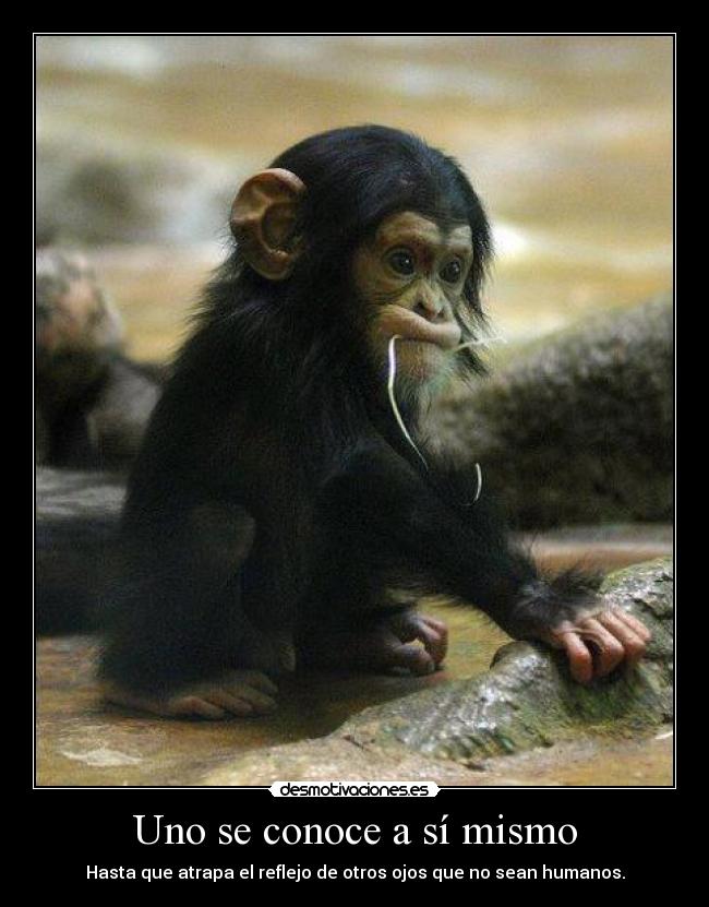 Uno se conoce a sí mismo -