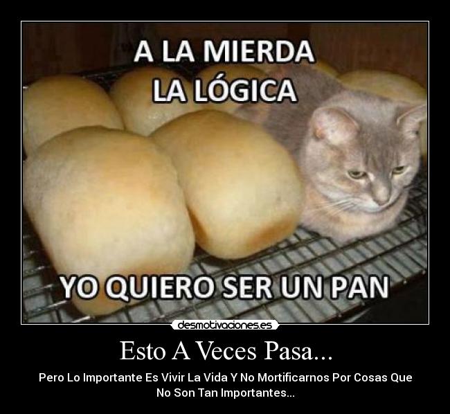 Esto A Veces Pasa... - Pero Lo Importante Es Vivir La Vida Y No Mortificarnos Por Cosas Que
No Son Tan Importantes...