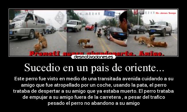 Sucedio en un pais de oriente... -