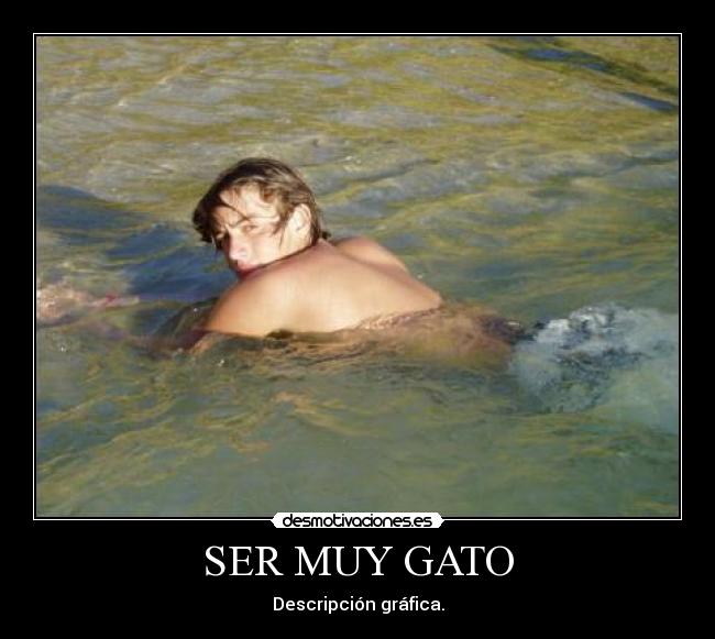 carteles elllll desmotivaciones