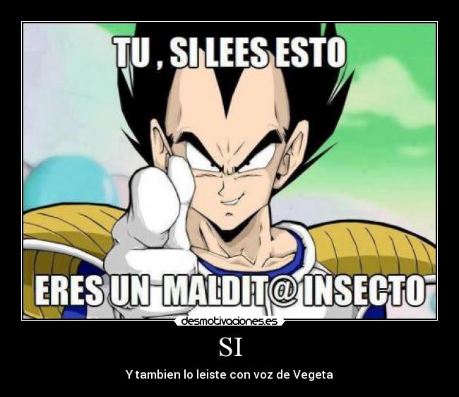 SI - Y tambien lo leiste con voz de Vegeta