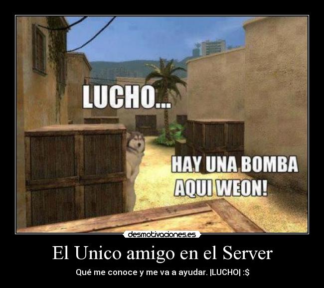El Unico amigo en el Server - Qué me conoce y me va a ayudar. |LUCHO| :$