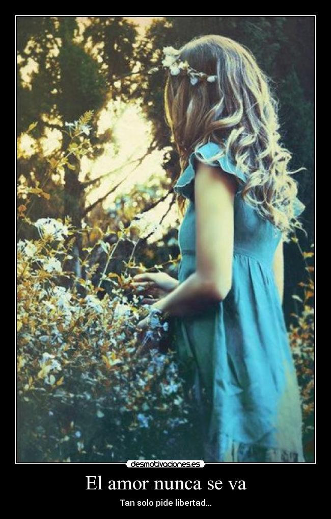 carteles amor nunca nos abandona solo quiere tomarse tiempo desmotivaciones