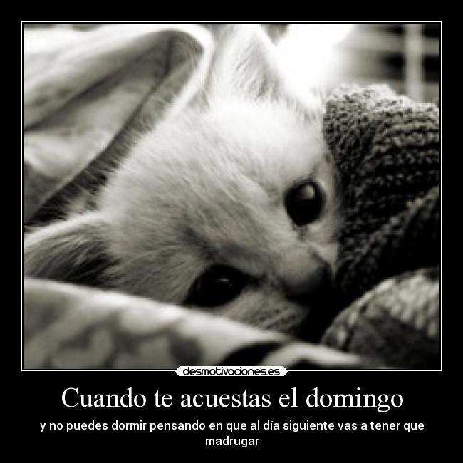 Cuando te acuestas el domingo - y no puedes dormir pensando en que al día siguiente vas a tener que madrugar