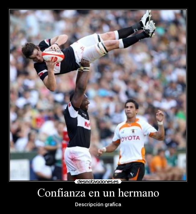 Confianza en un hermano - Descripción grafica