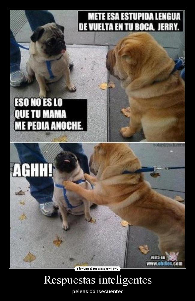 Respuestas inteligentes - peleas consecuentes