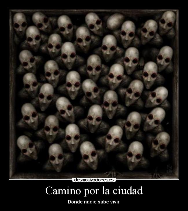 Camino por la ciudad - 