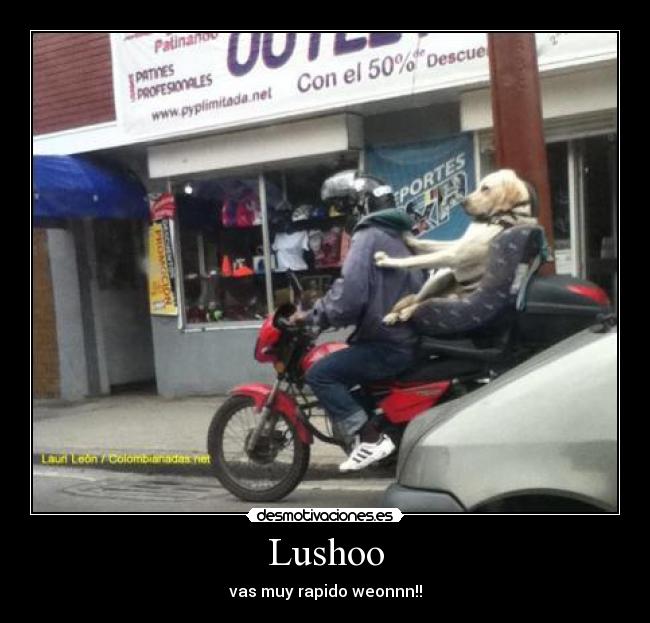 carteles djuakii desmotivaciones