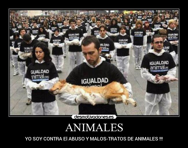ANIMALES - 