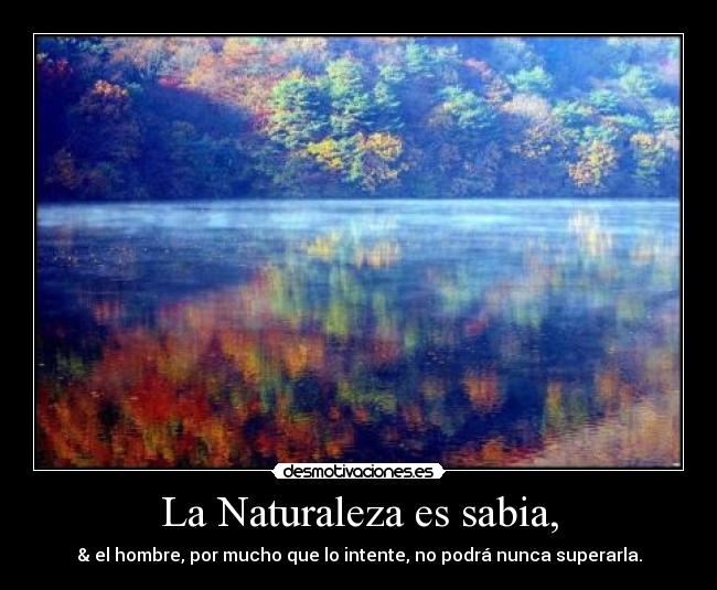 La Naturaleza es sabia, - & el hombre, por mucho que lo intente, no podrá nunca superarla.