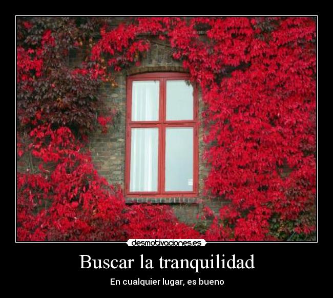 Buscar la tranquilidad -