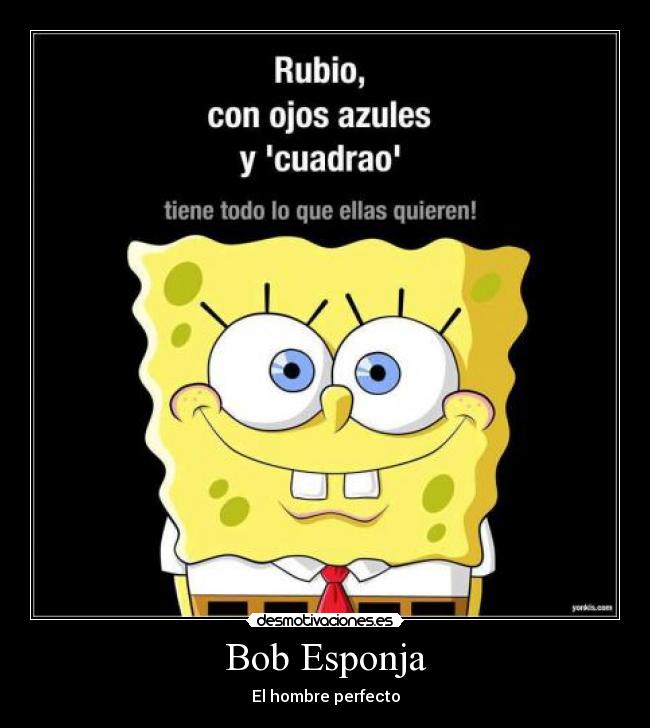 Bob Esponja - El hombre perfecto