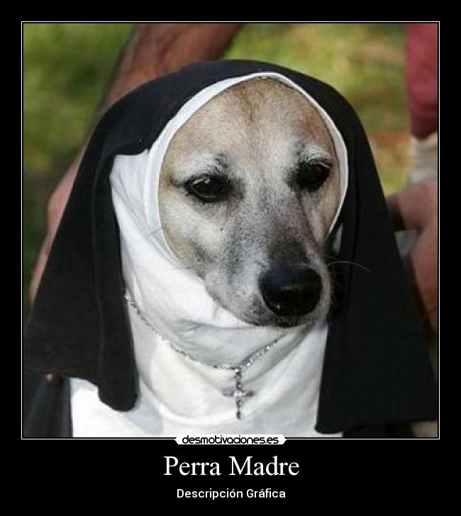 carteles madre fhrthrt desmotivaciones