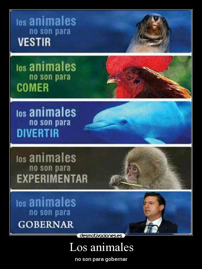 Los animales -