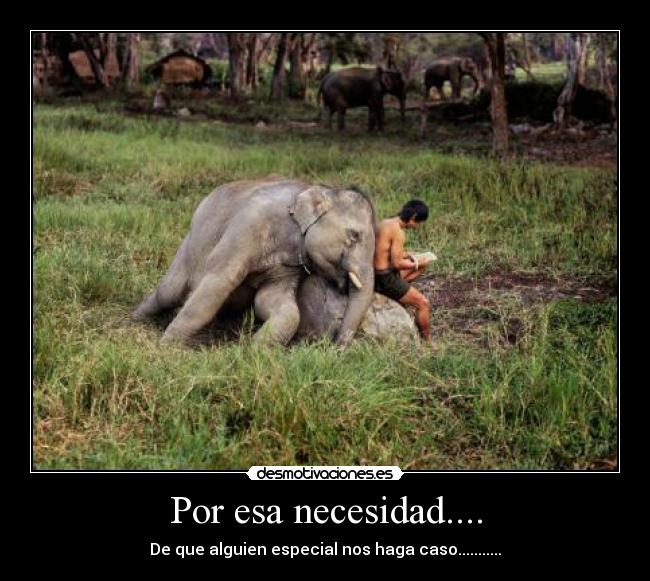 Por esa necesidad.... -
