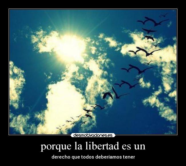 carteles libertad gisela desmotivaciones