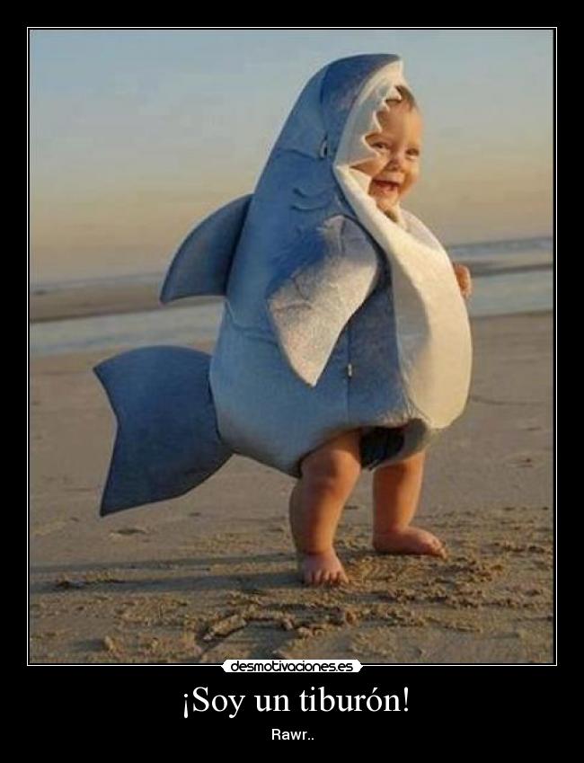 ¡Soy un tiburón! - Rawr..
