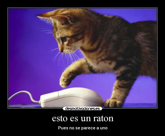 esto es un raton - Pues no se parece a uno