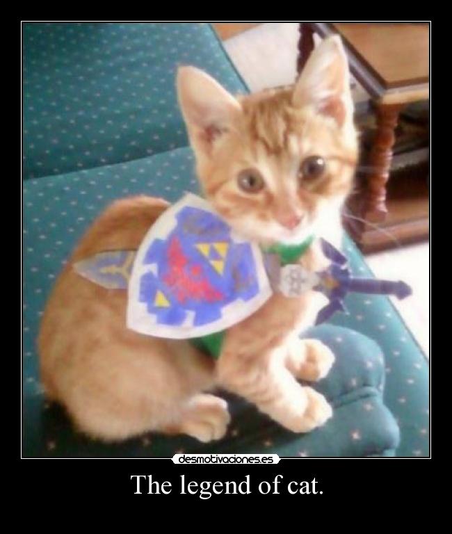 The legend of cat. -