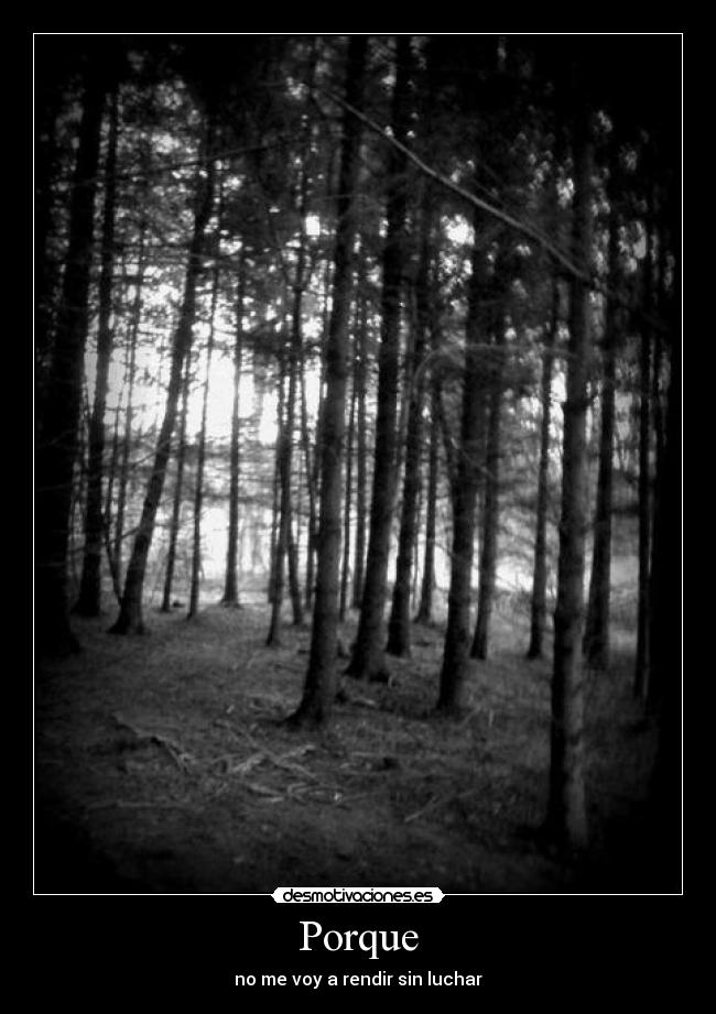 Porque - no me voy a rendir sin luchar