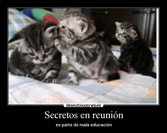 Secretos en reunión - es parte de mala educación