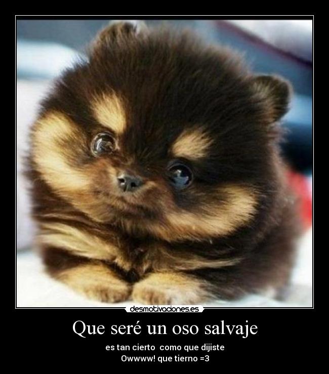 Que seré un oso salvaje - es tan cierto como que dijiste
Owwww! que tierno =3